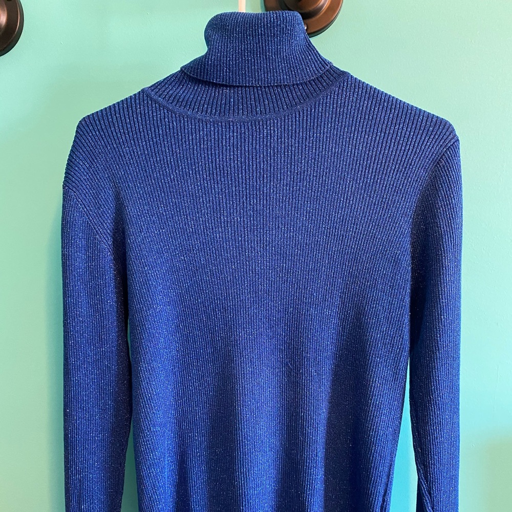 Sparkly petite turtleneck